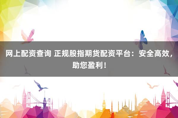 网上配资查询 正规股指期货配资平台：安全高效，助您盈利！