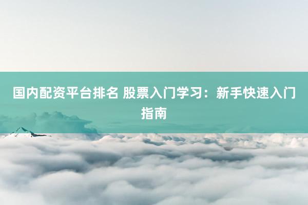 国内配资平台排名 股票入门学习：新手快速入门指南