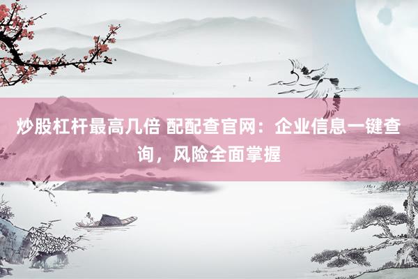 炒股杠杆最高几倍 配配查官网：企业信息一键查询，风险全面掌握