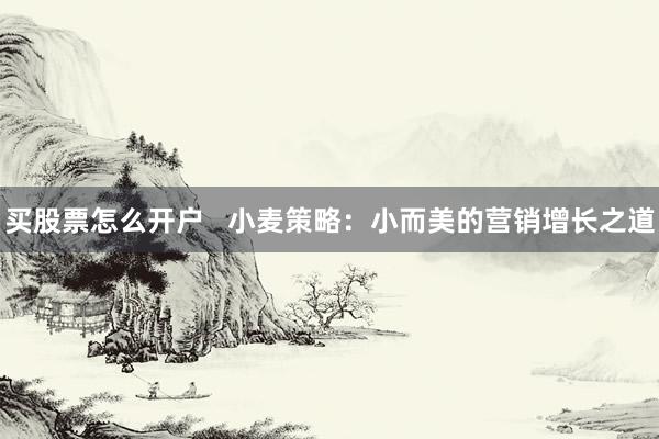 买股票怎么开户   小麦策略：小而美的营销增长之道
