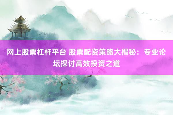 网上股票杠杆平台 股票配资策略大揭秘：专业论坛探讨高效投资之道