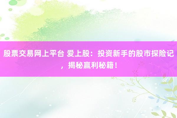 股票交易网上平台 爱上股：投资新手的股市探险记，揭秘赢利秘籍！