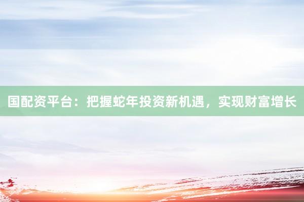 国配资平台：把握蛇年投资新机遇，实现财富增长
