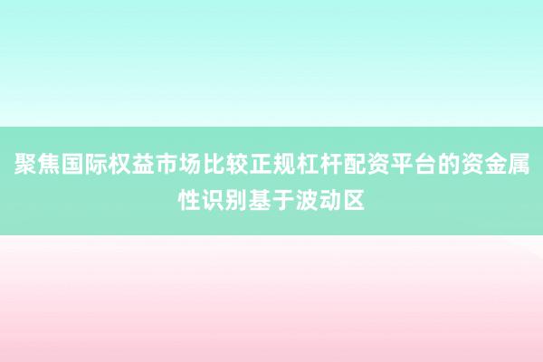 聚焦国际权益市场比较正规杠杆配资平台的资金属性识别基于波动区
