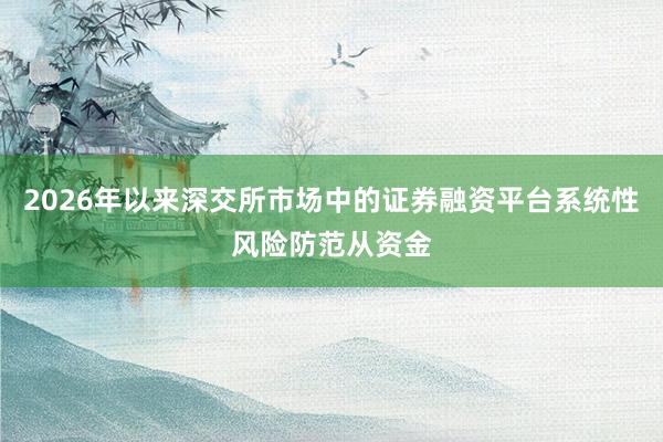 2026年以来深交所市场中的证券融资平台系统性风险防范从资金