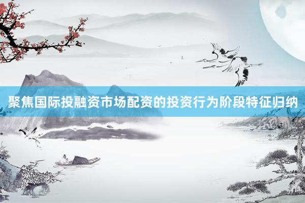 聚焦国际投融资市场配资的投资行为阶段特征归纳