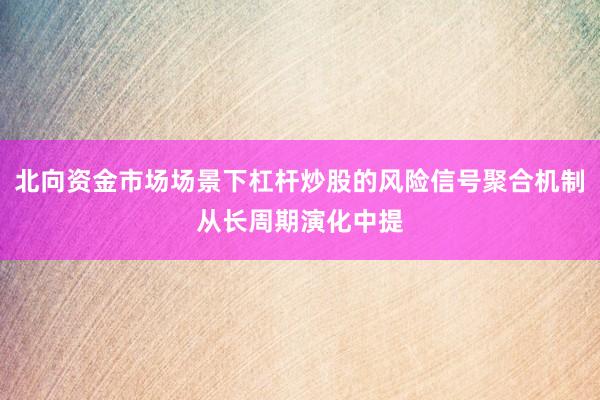 北向资金市场场景下杠杆炒股的风险信号聚合机制从长周期演化中提