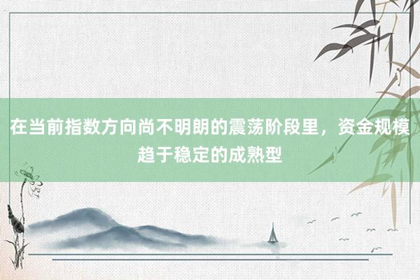 在当前指数方向尚不明朗的震荡阶段里，资金规模趋于稳定的成熟型