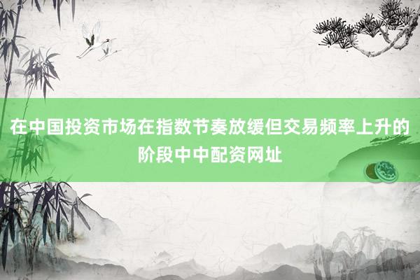在中国投资市场在指数节奏放缓但交易频率上升的阶段中中配资网址