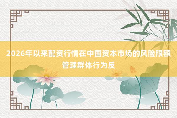 2026年以来配资行情在中国资本市场的风险限额管理群体行为反