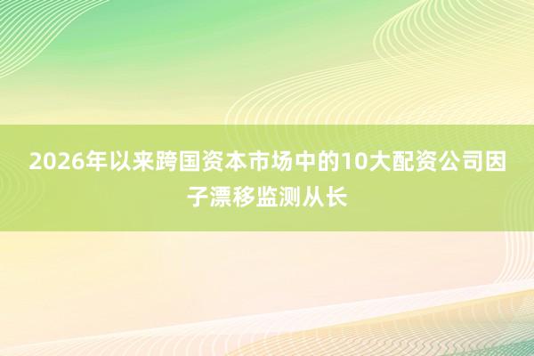 2026年以来跨国资本市场中的10大配资公司因子漂移监测从长