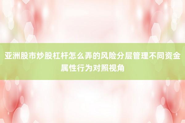 亚洲股市炒股杠杆怎么弄的风险分层管理不同资金属性行为对照视角