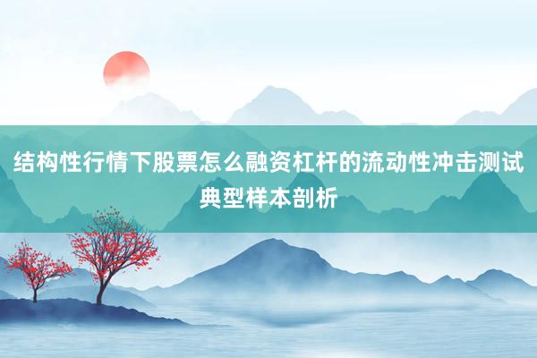 结构性行情下股票怎么融资杠杆的流动性冲击测试典型样本剖析