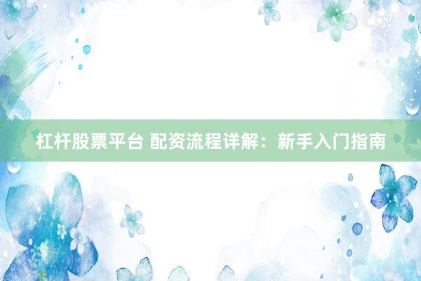杠杆股票平台 配资流程详解：新手入门指南