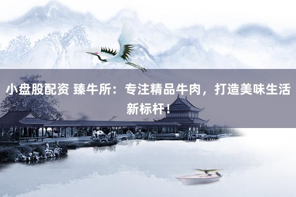 小盘股配资 臻牛所：专注精品牛肉，打造美味生活新标杆！