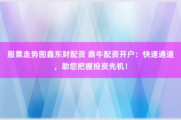 股票走势图鑫东财配资 鼎牛配资开户：快速通道，助您把握投资先机！